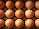 Articles: Protein, cholesterol, energy… Here’s what really happens to your body when you eat eggs every day