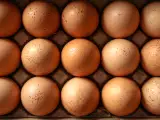 Articles: Protein, cholesterol, energy… Here’s what really happens to your body when you eat eggs every day