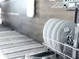 Articles: Should you rinse plates before the dishwasher? Experts say this common habit may waste water for nothing