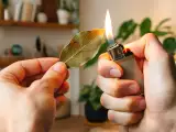 Articles: Is burning bay leaves calming or just a myth? Here’s what science actually says