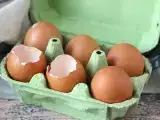 Articles: What you do with eggshells could contaminate kitchen surfaces and spread bacteria, how to avoid it
