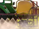 Articles: Can eating organic really reduce cadmium exposure? Anses' statement and why it's sparking debate