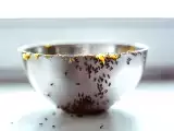 Articles: How Grandma gets rid of ants in the kitchen: simple, practical tips you can try at home today