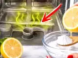 Articles: Skip deodorizers: a natural, 5-minute method to banish dishwasher odors fast, no sprays needed