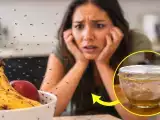 Articles: How to banish kitchen midges overnight with a natural, chemical-free remedy anyone can use tonight