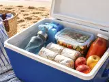 Articles: Smart beach cooler packing: what to put on the bottom, what to keep on top and what to never bring
