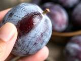 Articles: That whitish film on plums: why it looks like dust and what it actually means for freshness