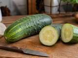 Articles: How to tell if a cucumber isn't fresh: clear signs to check before you buy so you're not disappointed