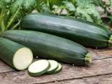 Articles: Huge zucchini: Are oversized summer squash still good to eat, and what should you do with them?