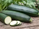 Articles: Huge zucchini: Are oversized summer squash still good to eat, and what should you do with them?