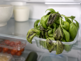 Articles: Basil turning black in the fridge? The storage mistake you're likely making and how to stop it