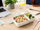 Articles: Stop smelly lunches: back-to-school guide to keeping your lunchbox odor-free at school or office