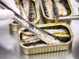 Articles: What people learned about how canned sardines are made left many surprised: the truth revealed