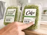 Articles: Have alfalfa sprouts at home? Check Everything Sprouts and Calco after 55-case outbreak