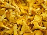 Articles: Fresh chanterelle mushrooms: How can you prepare and cook them without making them soggy?