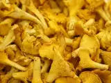 Articles: Fresh chanterelle mushrooms: How can you prepare and cook them without making them soggy?
