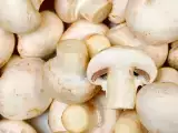 Articles: Mushrooms turning brown? A simple guide to which to cook, which to discard, and why it matters