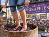 Articles: GrapeFest turns 40 Thursday: plan Texas wines, tastings and grape stomping first