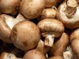Articles: The simple storage swap that keeps mushrooms fresher