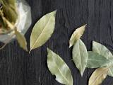 Articles: 10 surprising uses for bay leaves that you probably didn't know about!