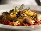 Articles: What really happens when a fly lands on your food and how to avoid health risks!