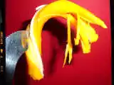 Recipe Yuckblog 10: Stretchable ?Cheese Food Snack? Sticks