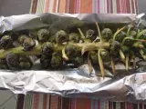 Recipe Roasted brussel sprouts