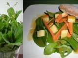 Recipe Talinum salad