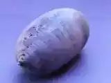Recipe Purple Radish Salad--To Try or to Behold