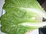 Recipe Lettuce Wraps for Lunch