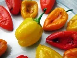 Recipe Oven roasted mini sweet peppers