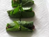 Recipe Spinach rolls - a quick healthy snack
