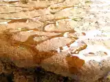 Recipe Flourless pecan cake (gf, df)
