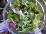 Recipe Salatat jarjeer ( arugula salad)