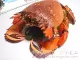 Recipe MY 1st SPANNER CRAB