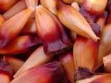 Recipe The Pinhão - Brazil's Pine nut on steroids