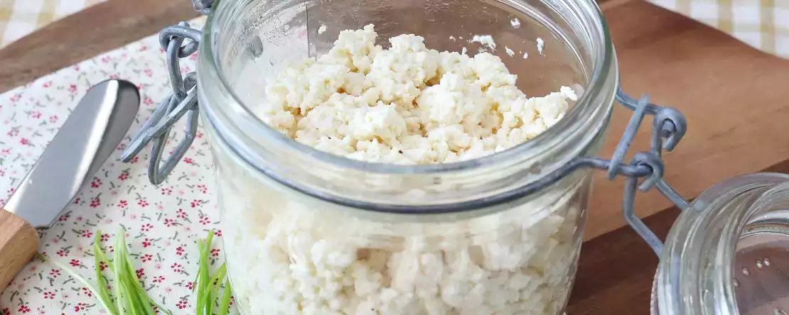 Homemade cottage cheese with just two ingredients!