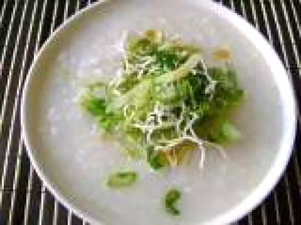 Fish Porridge (Yee Sang Chok)