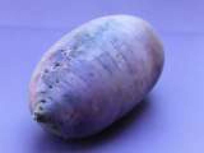 Purple Radish Salad--To Try or to Behold