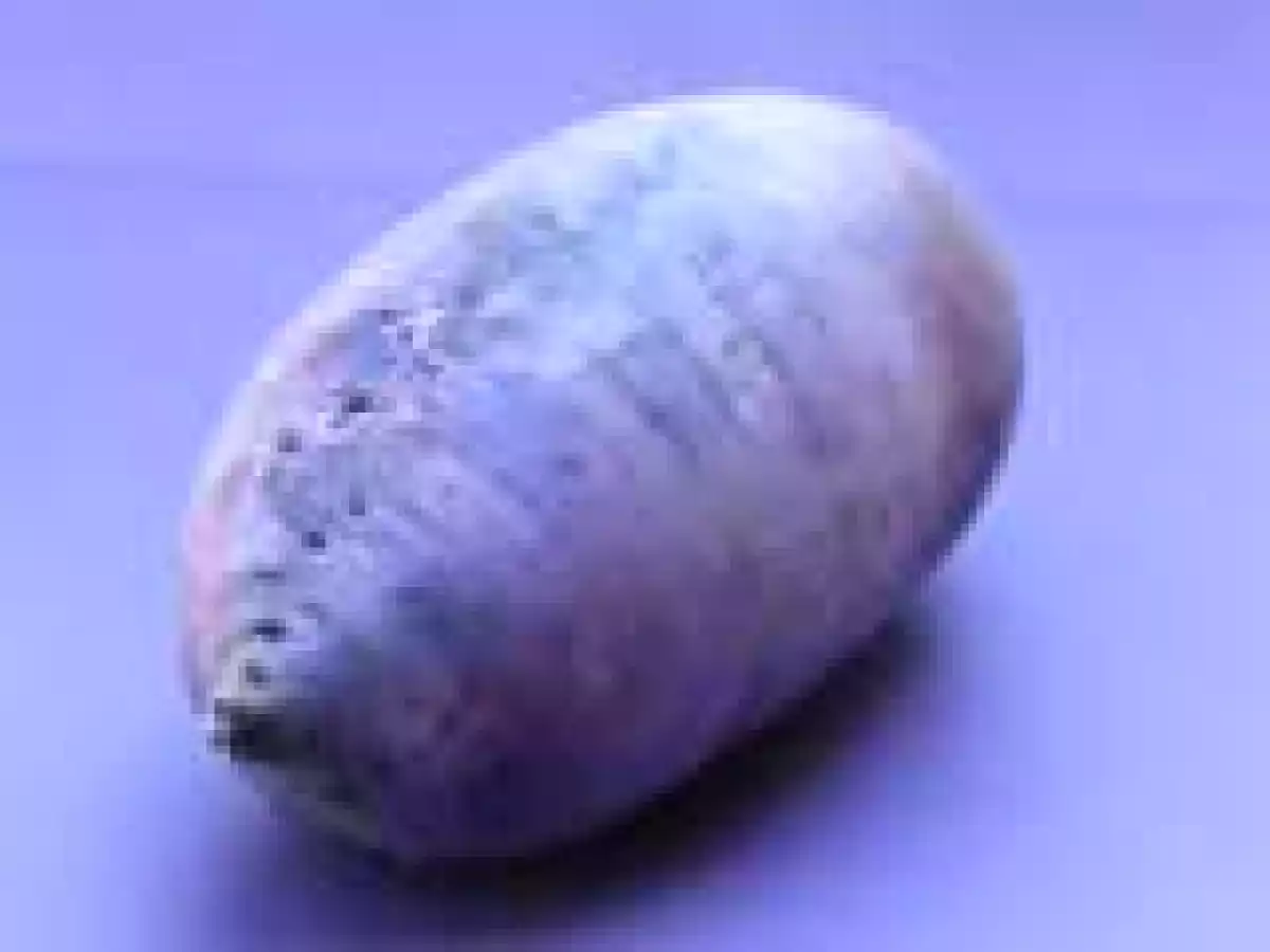 Purple Radish Salad--To Try or to Behold