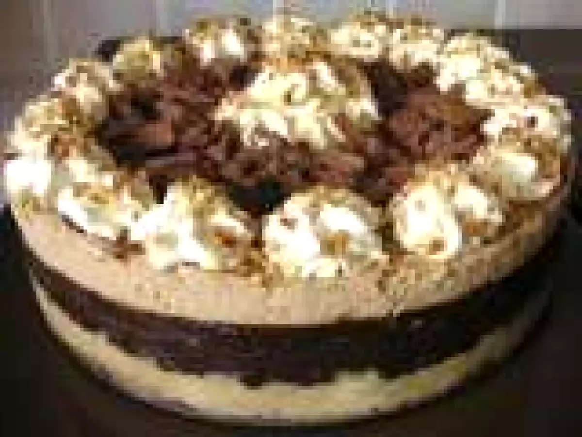 Mocha (chocolate coffee) torte
