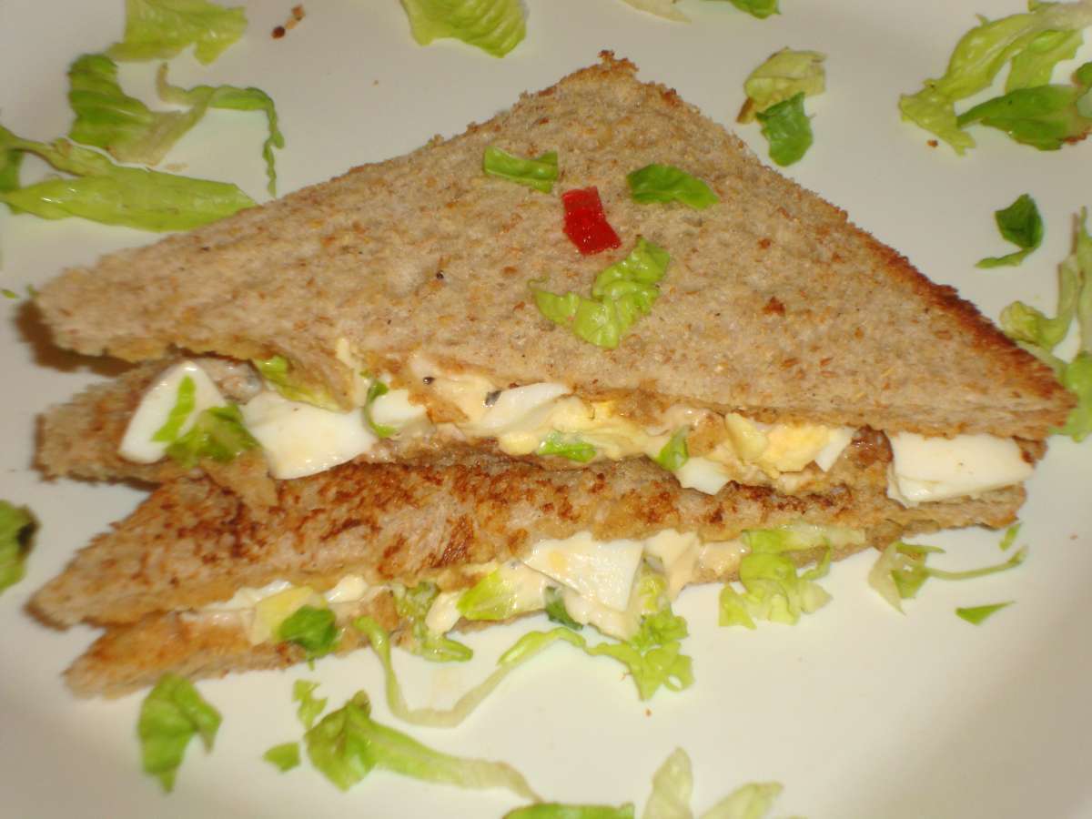 Ketchup with Sandwich 11 recipes Petitchef