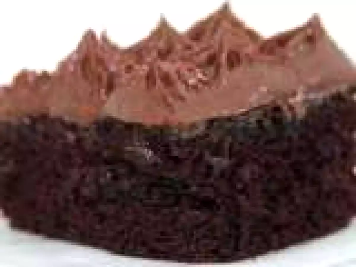 Easy Cocoa Snack Cake Recipe