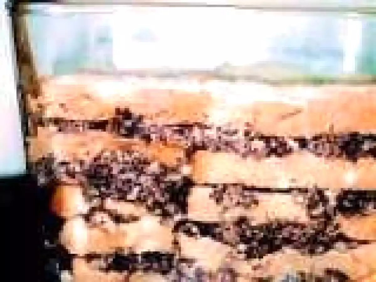 Makówki - poppy seed Silesian Christmas desert...