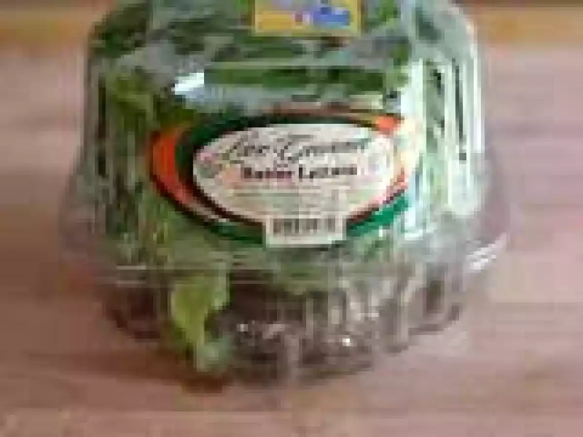 Butter Lettuce - Live Gourmet