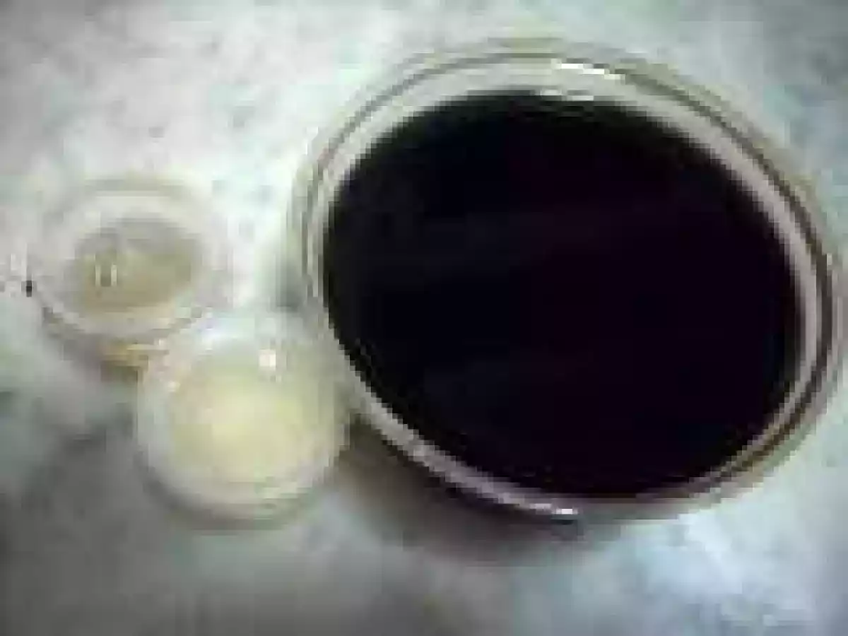 Vegetarian guiling gao at Jenkangs Sdn Bhd