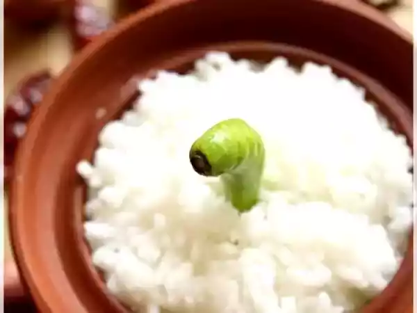 Recipe Onion pickle / shallot pickle