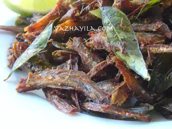 Recipe Kallushap style podimeen fry ( kozhuva fry) / fried anchovies