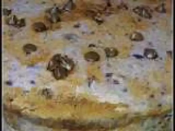 Recipe Japanese Purple Sweet Potatoes Butter Cake