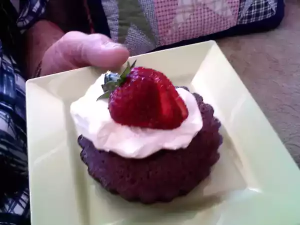 Recipe Mama's rescued fudge pie